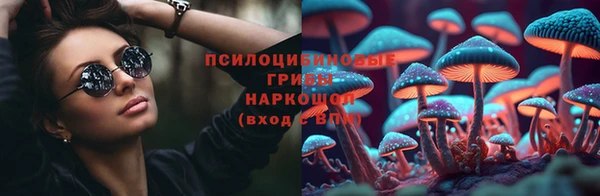индика Алексин
