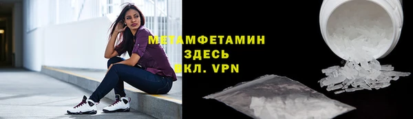 индика Алексин