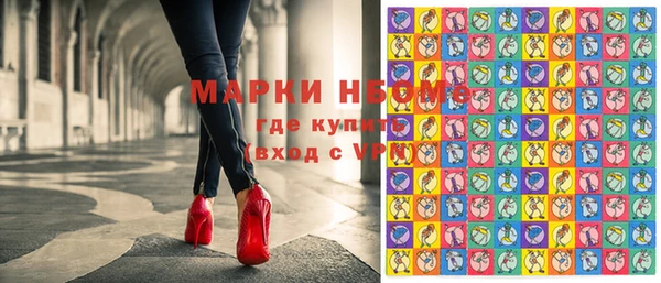 индика Алексин