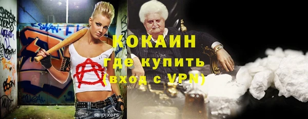 индика Алексин
